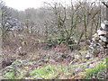 Old  buildings and a rubbish run on the Faenol Quarry site