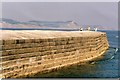 SY3491 : The High Wall on the Cobb, Lyme Regis by Chris Eaton