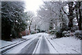 Blackwater Lane in the Snow