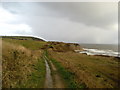 NZ4444 : Coastal Path near Easington Colliery by Chris Heaton