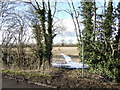 Footpath north from Cassington Lane