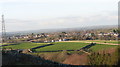 The fields of Fferm Cae Llwyd