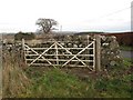 Iron gate, Manderston