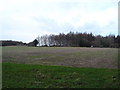 The Old Orchard - Pheasant Shooting Range