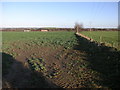 Fields and Motorway