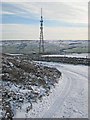 Telecommunications mast, Frosterley