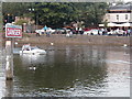 Car driving up the Thames