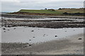 The Millquarter Bay near Strangford (2)