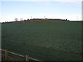 Outcrop and Pylons