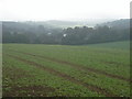 Great Bedwyn seen from the edge of Chisbury Woods