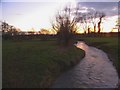 Brook at sunset