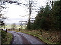 Forest Road, Clocaenog Forest.