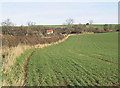 NU1531 : Arable field near Hoppen by Walter Baxter