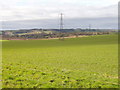 Farm land from footpath to Hurstbourne Tarrant