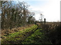 Green Lane near Thornton le Beans