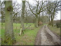 Byway near Lye Copses