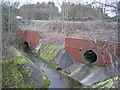 Culverts beneath the A6116