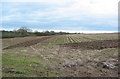 Winter stubble, near Bawbrook