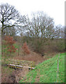 Footbridge and disused railway embankment