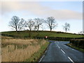 Hilltop Trees Near Symington