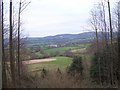 Farmland at Stroud from bridlepath up Lythe Hanger