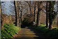 Lane off the North Road, Carrickfergus