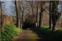J4187 : Lane off the North Road, Carrickfergus by Albert Bridge