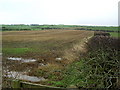 Field Near Muirhouse