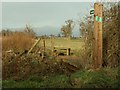 Stile and footpath