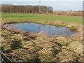 SE4748 : Pond, alongside the lane to Home Farm, near Bilton Haggs by Robert  Neilson