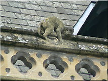 SO5039 : Hereford Library, Museum and Art Gallery, Broad Street, gargoyle 4 by Brian Robert Marshall