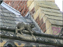SO5039 : Hereford Library, Museum and Art Gallery, Broad Street, gargoyle 7 by Brian Robert Marshall