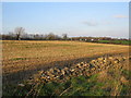 Farmland near the M4