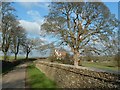 Houses before Steane Manor