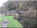 Ynsmeudwy Bridge over canal