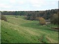 Secluded cottages