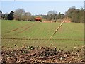 Stoneheap Farm from Stoneheap Road