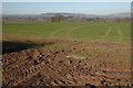 Field  near Sourbrook Farm