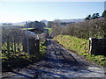 Track to Tyn-y-Rhos