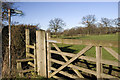 Stile, Gate and Footpath