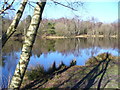 Shortheath Pond, Oakhanger