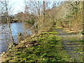 Footpath to Kinloch Rannoch