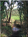 Stream north of Hough Bridge