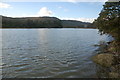 The Newry River at Narrow Water