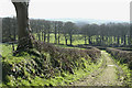 Broadwoodkelly: towards Lower Moor