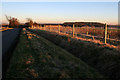 Looking towards Owens Barn Farm