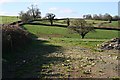 Pasture Land near Treniffle