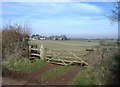 View towards the Bristol Channel