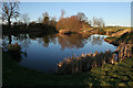 Lavington Lake, Lenton