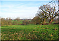 Pasture south east of Hough Bridge